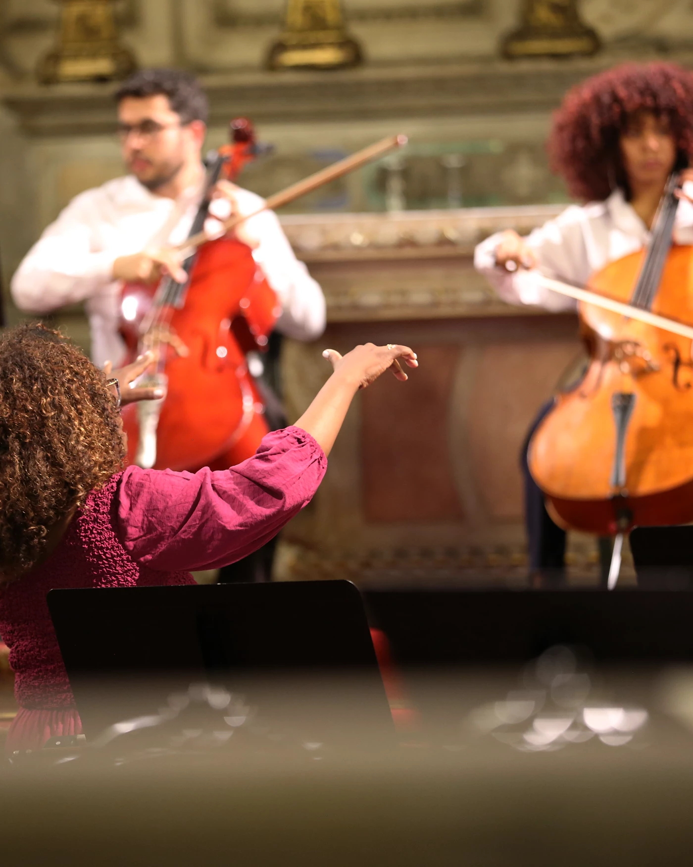Rio Cello, image 14