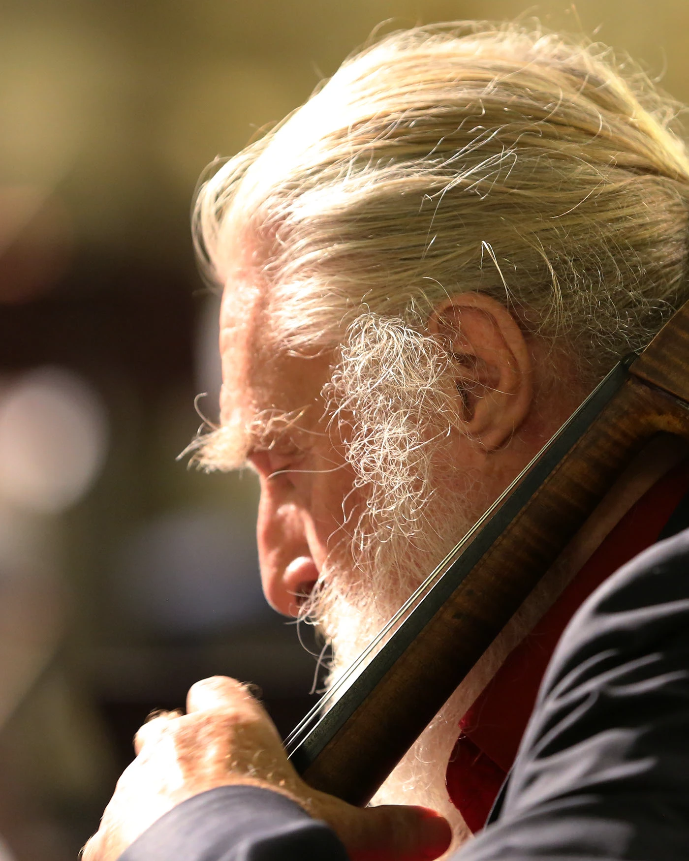 Rio Cello, image 19
